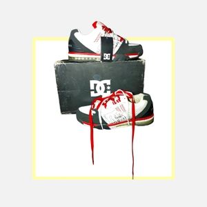 DC SKATER shoe